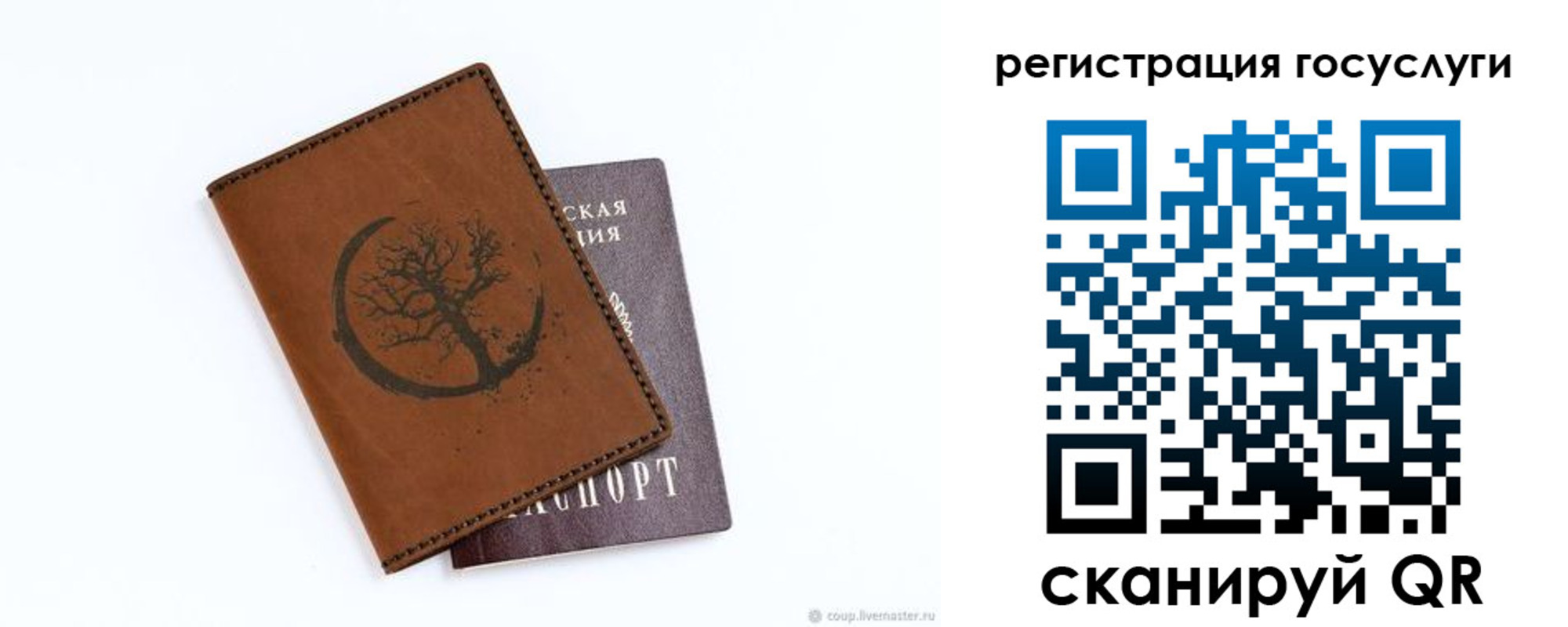 прописка для школы в Боровичах